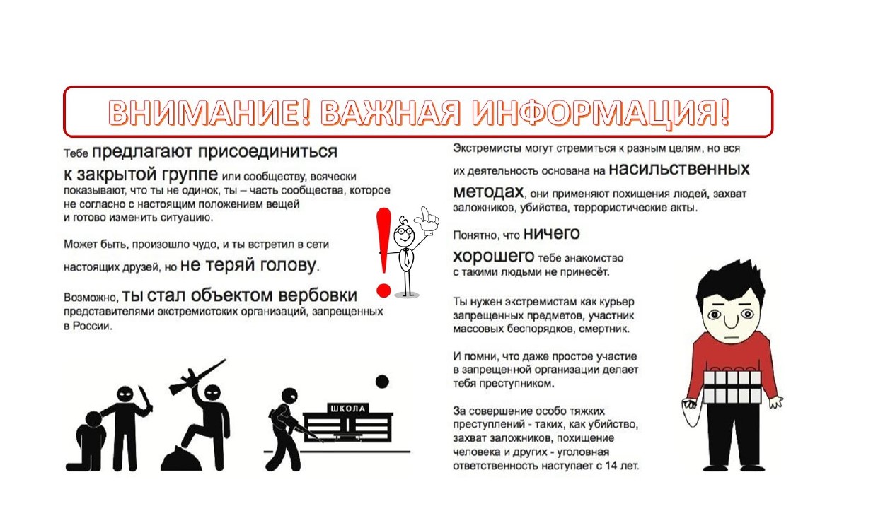 Экстремистская деятельность.